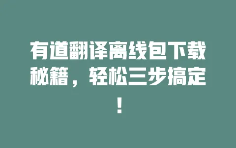 有道翻译离线包下载秘籍，轻松三步搞定！ 一